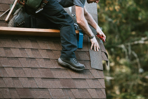 Best Metal Roofing Contractor  in Clarkson, KY